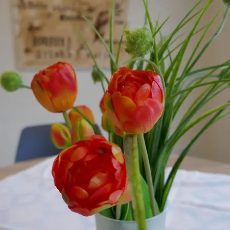 Ober Langengarten By Interhome Pittenbach