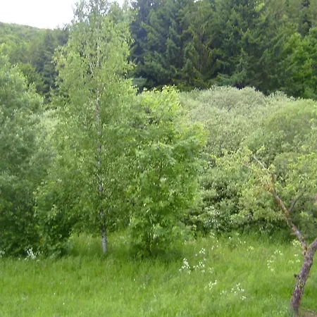 Ober Langengarten By Interhome Appartement Pittenbach