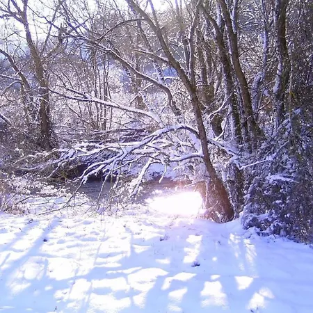 Ober Langengarten By Interhome * Pittenbach