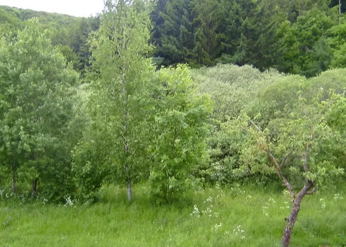 Ober Langengarten By Interhome Appartamento Pittenbach