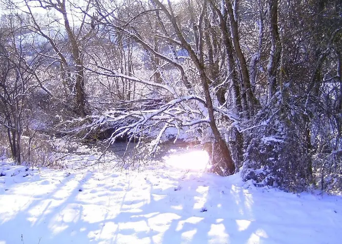 Ober Langengarten By Interhome * Pittenbach